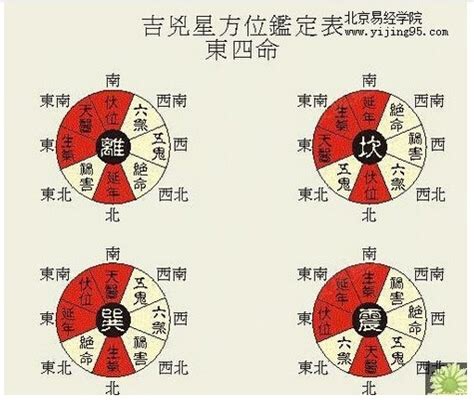 東四命 西四命 算法|善韵缘｜何为东四命、西四命？怎么算？看这一篇就够 